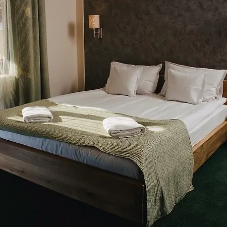 Restaurant Flamingo Bed & Breakfast Sighetu Marmaţiei